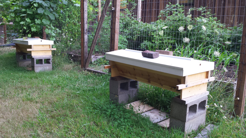 Top Bar Hive Designs